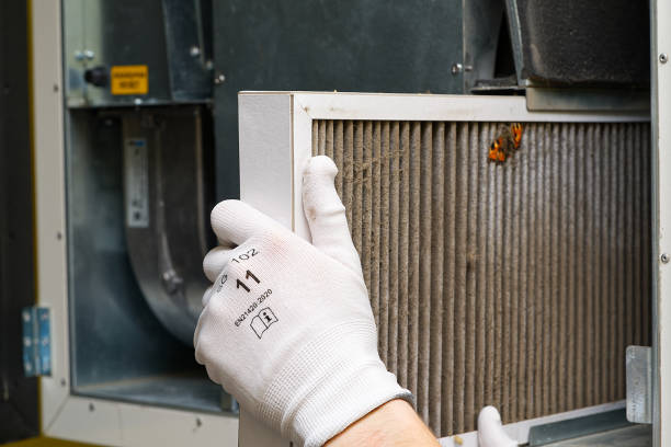 Best Emergency Air Duct Cleaning  in Chatham, IL